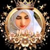 elasil117