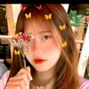 nhu___quynh___k9