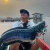 fishinglyfe_id