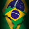 wires_andrade