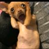 mlungisi_mbonani1