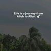 _alhamdulillah_2277