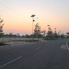 aluiwijaya