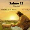 dra.amor777