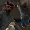 userlrjgy8z5ni