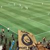 نصراوي جلاد. 💛🤙🏻