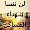 user5046554174268
