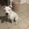 maigrichon62
