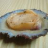 apanhalapas