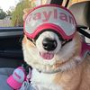rayan.linc