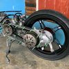 izard_110i