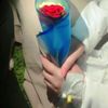 nursemena0
