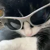 softqsza