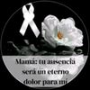 yamilelopezquinteros