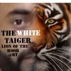 mohammadilyasimr