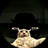 _.luis777