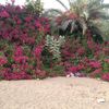 .user858022456288