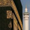 shahd.mohamed4804