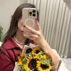 6_fiona
