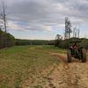 greenwoodfarmncbeef