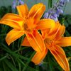 annetteb33