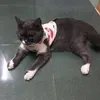 mihmih_07
