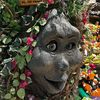 tracythetree