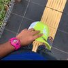 fikrirazlan1