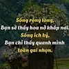 huynhphuong610