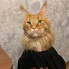 pipidastrik007