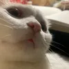 bbiisoangry