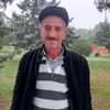 Vilayet Memmedov