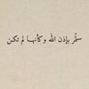 sha_11334