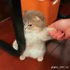 trqvuy_0hi6