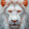 mandi_waly754