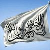 ali_joud_ali
