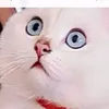 queenh222