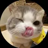 nanhh2080