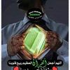 fatima.hashim597