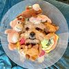 pupperhuggers