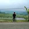 story_amek