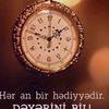 _mr.aliyeff_