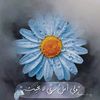 fa.alansari