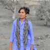 musa_official2