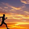 beaverrunner