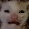 tanhh_705