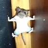 matooo_34
