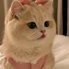 user1683110909648