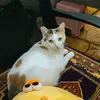 flolalala_1009