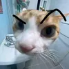 chrmilllo